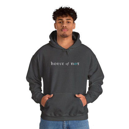 Doublesided Evergone Dragon Jewel Hoodie (USA)